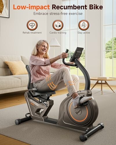 Niceday Recumbent Exercise Bike