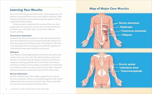 Diagram of major core muscles with labeled anatomy.